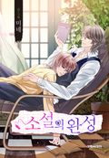 소설의 완성