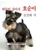 떠돌이 강아지 호순이
