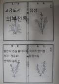 고금도서집성 의부전록 501권