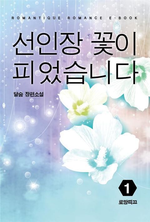 선인장 꽃이 피었습니다