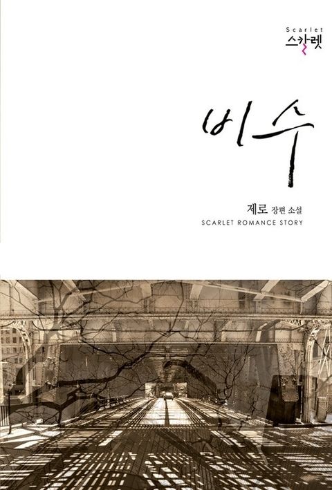 비수