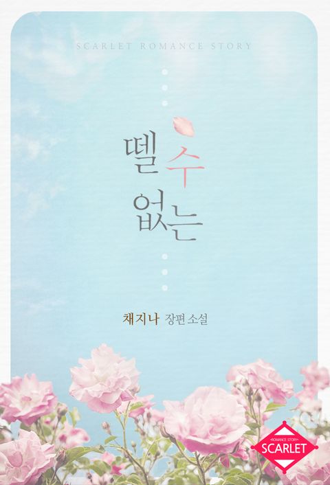 채지나