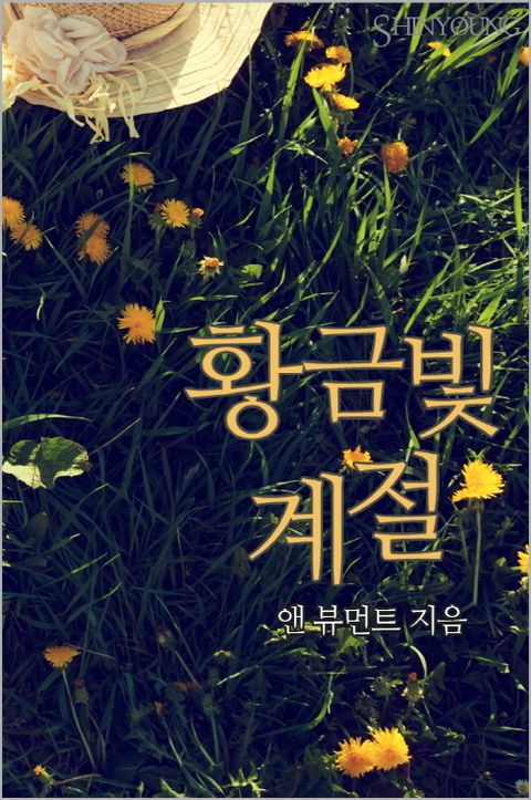 앤 뷰먼트