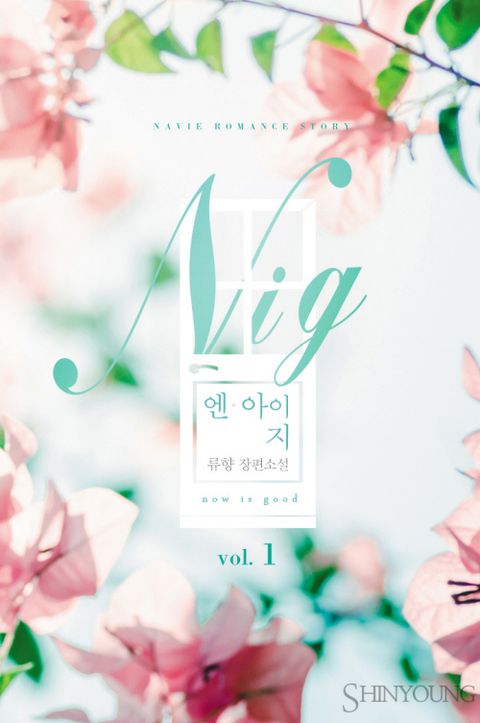 엔 아이 지 (N.I.G)