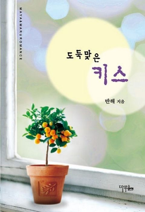 도둑맞은 키스