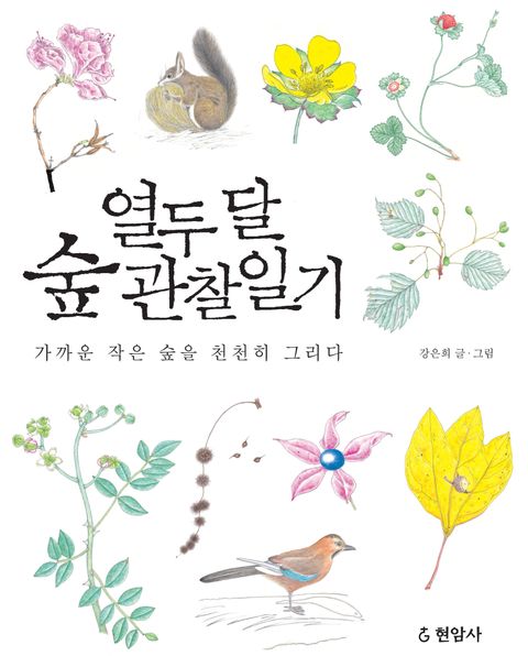 열두 달 숲 관찰일기 (가까운 작은 숲을 천천히 그리다) - 리디북스열두 달 숲 관찰일기