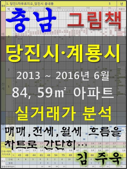 충남 당진시, 계룡시 84, 59㎡ 아파트 매매, 전세, 월세 실거래가 분석 (2013 ~ 2016.6월) - 리디북스충남 당진시, 계룡시 84, 59㎡ 아파트... 