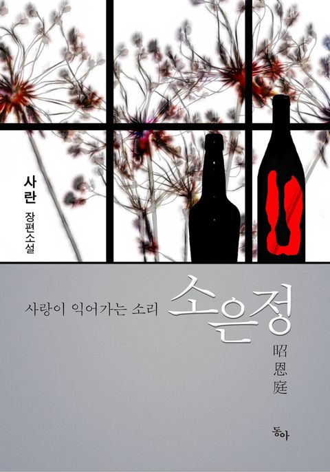 소은정(사랑이 익어가는 소리)