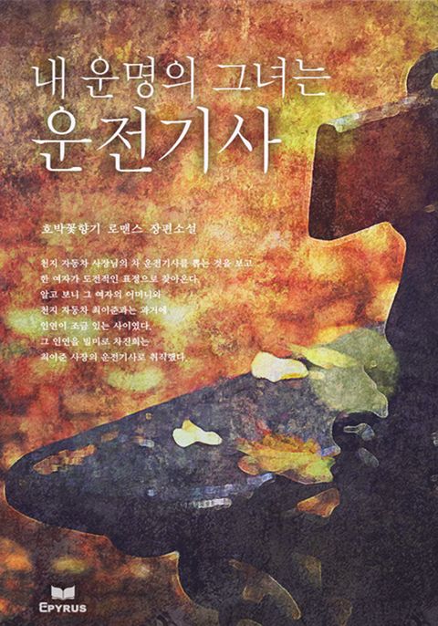 내 운명의 그녀는 운전기사